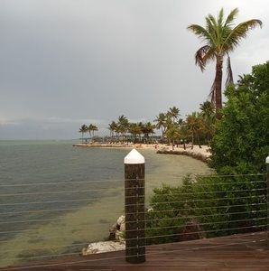 Meet your Posher, Daisy